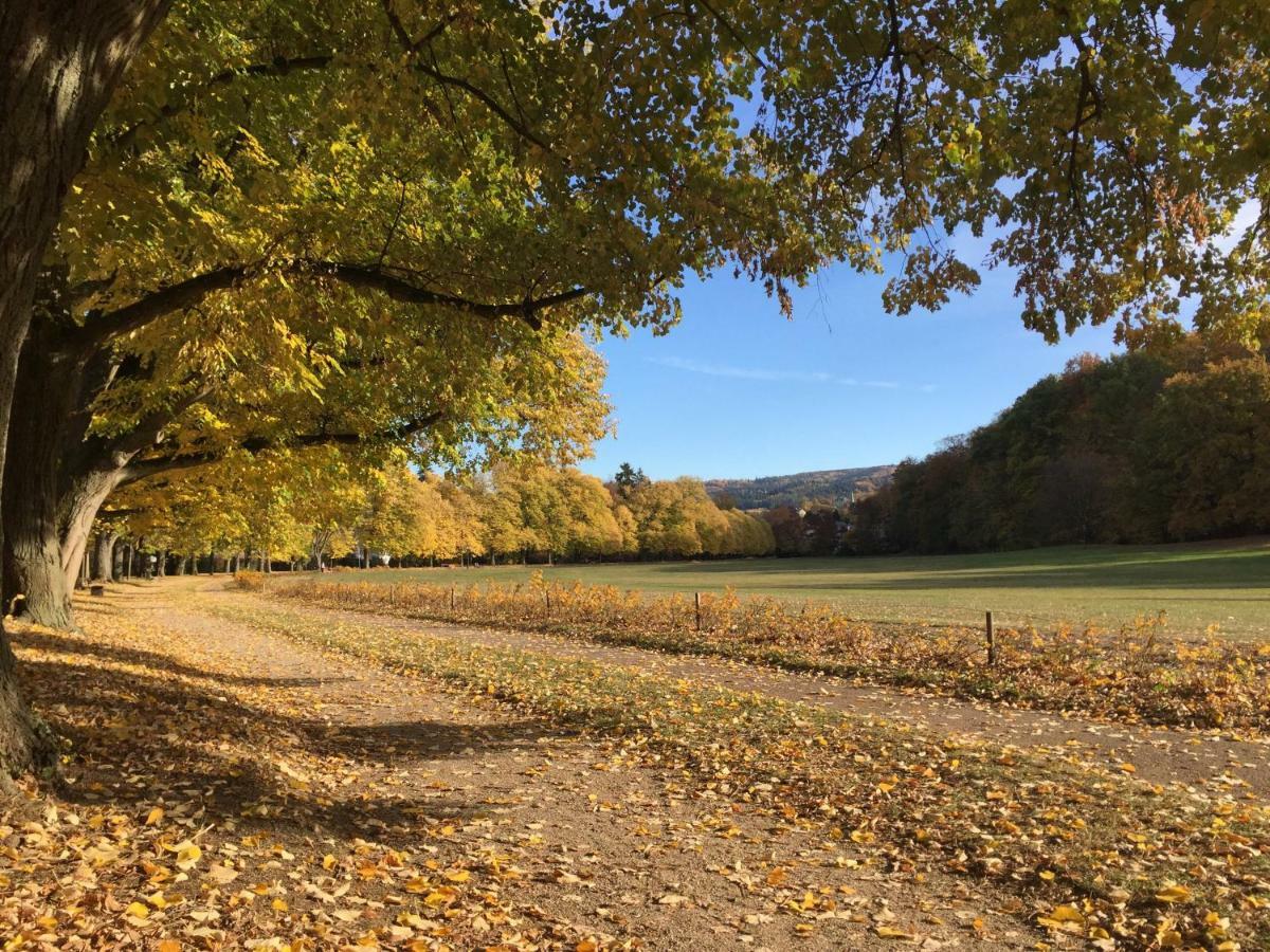 Suite Mit Blick Auf Die Lichtentaler Allee Baden-Baden Exterior photo